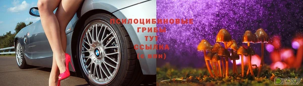 гидропоника Гусиноозёрск