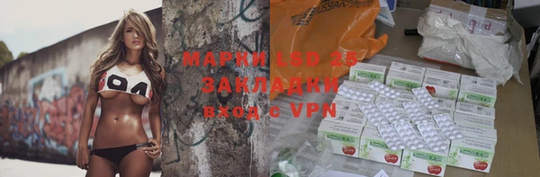 гидропоника Гусиноозёрск