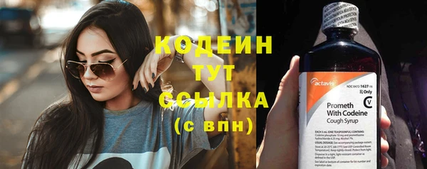 гидропоника Гусиноозёрск