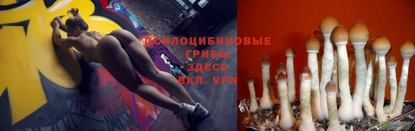 гидропоника Гусиноозёрск