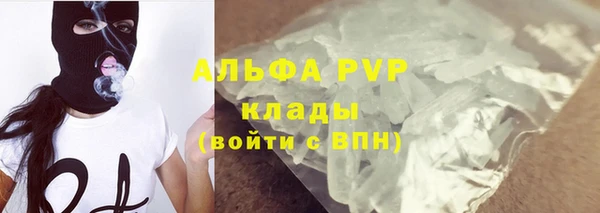 гидропоника Гусиноозёрск