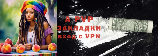 гидропоника Гусиноозёрск